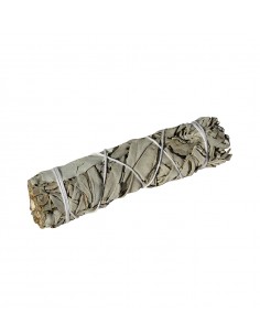 White Sage - Small Smudge