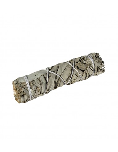 White Sage - Medium small Smudge