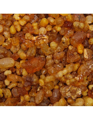 Incense Resin - Olibano Oman - 50 g