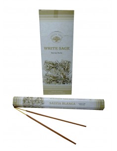 White Sage - Green Tree... 2