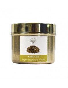 Scented candle White Sage -...