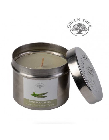 Scented candle Mint Eucalyptus -...