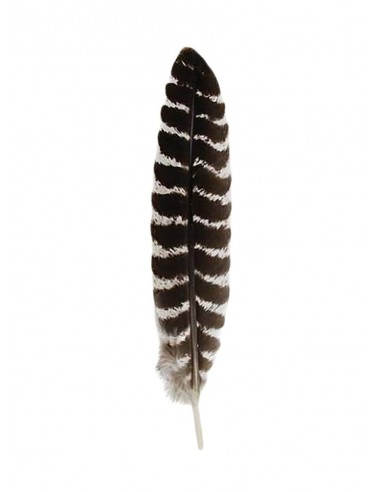 Turkey feather for fumigation