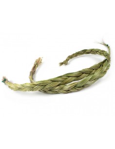 Sweet Grass (Hierochloe...