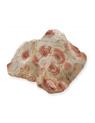 Bird's Eye Jasper (Rhyolite)