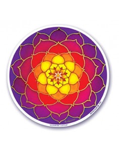 Adesivo per vetri Loto alba