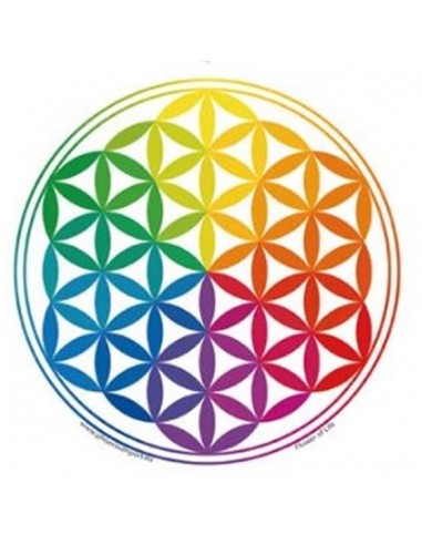 Window Sticker Flower of Life