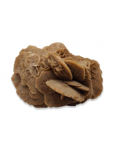 Desert Rose