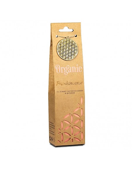 Organic Masala Frankincense - Coni d'incenso Song of India