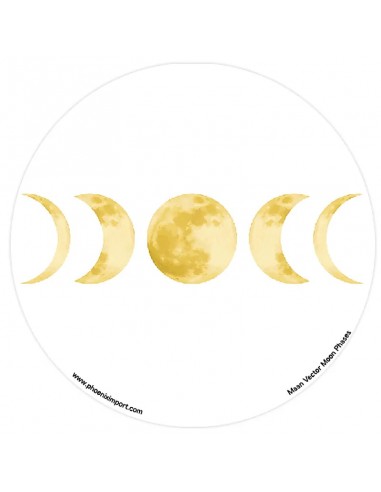 Window Sticker Moon Phases