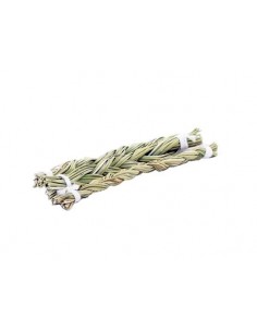 Sweet Grass (Hierochloe...