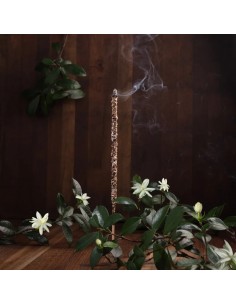 Sagrada Madre Palo Santo... 2