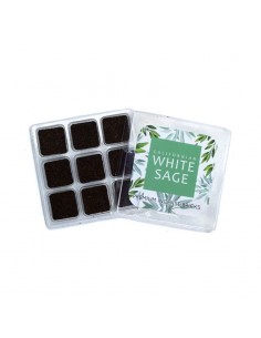 Aromafume incense bricks... 2