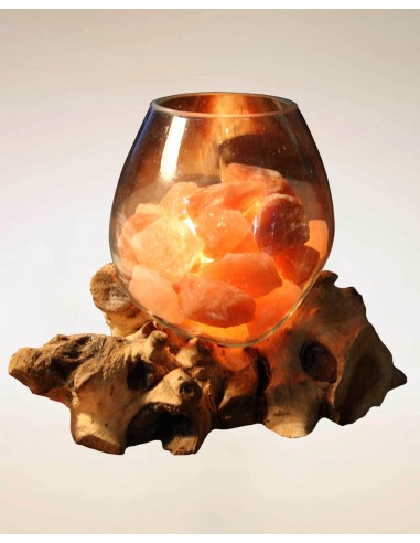 Root lamp with glass and Himalayan...