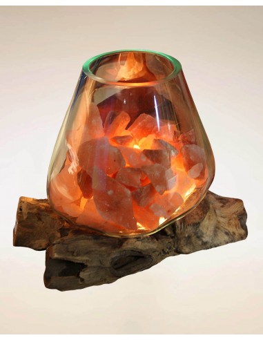 Root lamp with glass and Himalayan...