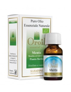 Mint - Essential Oil