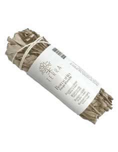 Rosemary (Rosmarinus...