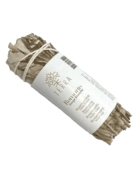 Rosmarino (Rosmarinus officinalis) e Salvia Bianca - Smudge