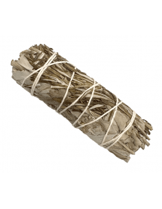 Rosmarino (Rosmarinus officinalis) e Salvia Bianca - Smudge 2