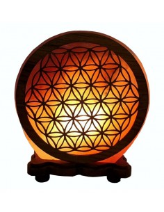 Himalayan Salt Lamp -...