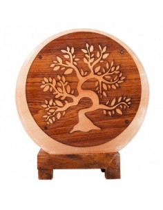 Lampada di Sale dell’Himalaya - Albero Bonsai 2