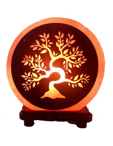 Himalayan Salt Lamp - Bonsai Tree