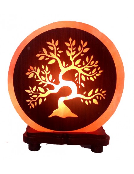 Lampada di Sale dell’Himalaya - Albero Bonsai