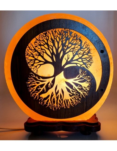 Himalayan Salt Lamp - Yin Yang Tree