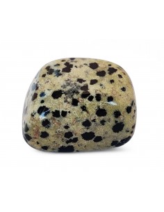 Diaspro Dalmata - burattato