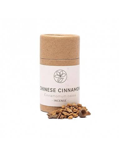 Chinese Cinnamon (Cinnamomum cassia)...