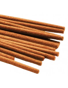 Aloe - Incense Stick