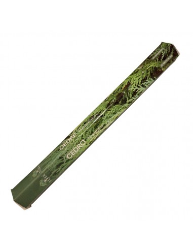 Cedar - Terra Incense Sticks