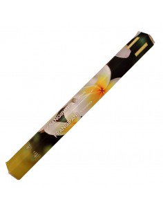 Frangipani - Terra Incense...