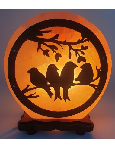Lampada di Sale dell’Himalaya - Uccellini