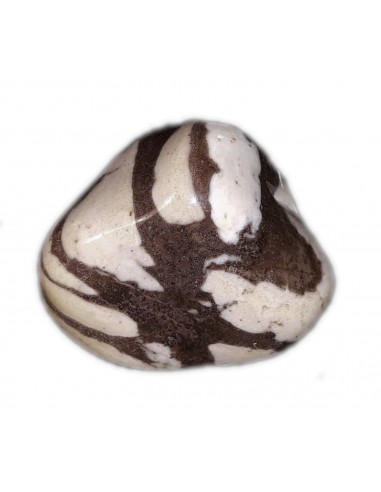Zebra Jasper