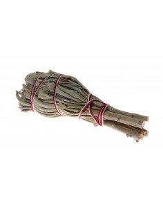 Salvia Bianca - Smudge Piccolo 2