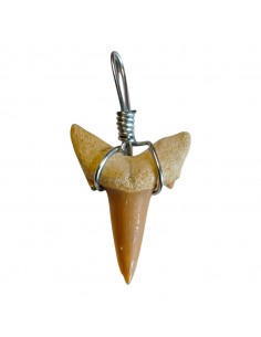 Shark Tooth Pendant
