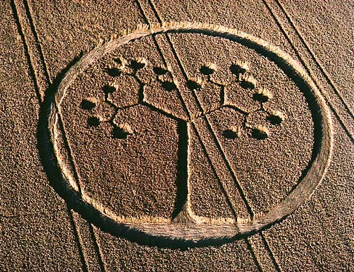 L'Albero della vita