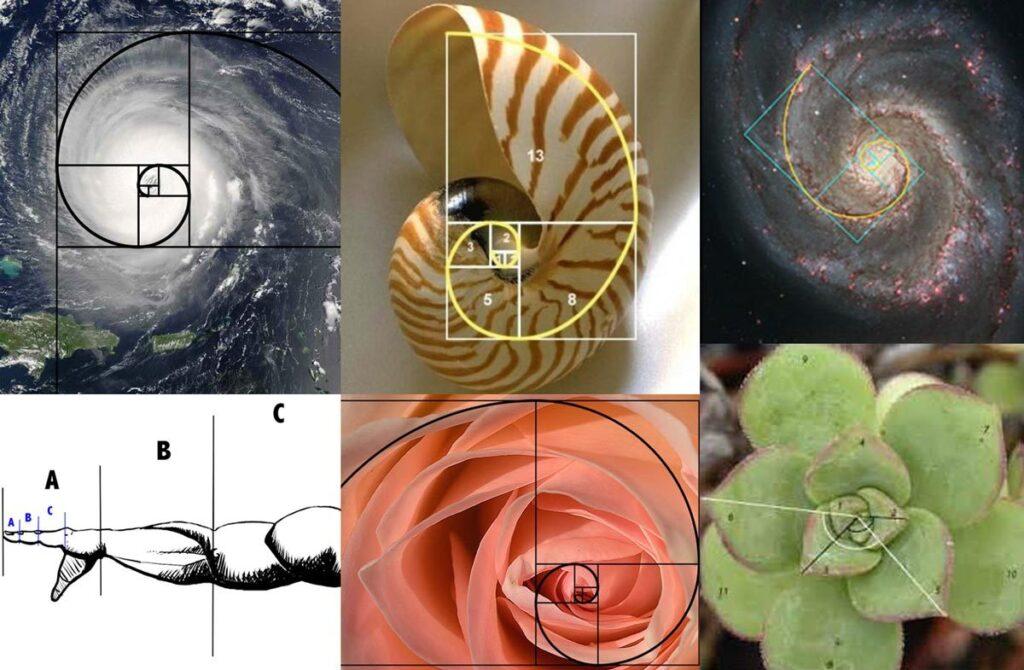 Successione di Fibonacci